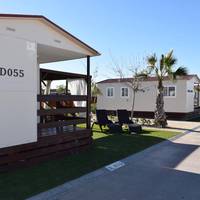 Mobile Home