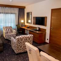 One-Bedroom King Suite