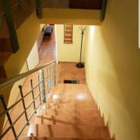6-Bed Mixed Dormitory Room