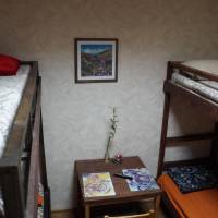 Bunk Bed in Mixed Dormitory Room