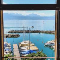 Superior Lake Leman View or the Lavaux vineyards 