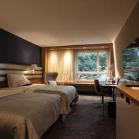 Deluxe Twin Room with Lake View