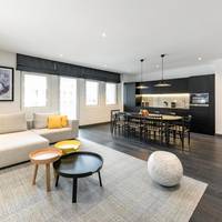 Studio Suite King Platinum
