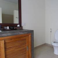 Deluxe Double or Twin Room with Pool View