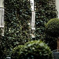 Garden Suite