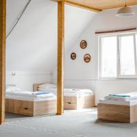 Single Bed in Dormitory Room