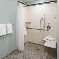 King Room Roll-In Shower Accessible/Disability