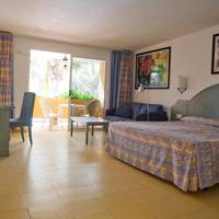 Double Room with Pool View