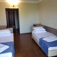 Double or Twin Room with Balcony