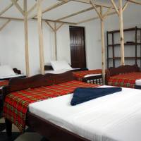 Bed in 5-Bed Mixed Dormitory Room