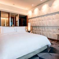 Superior King Room with City View