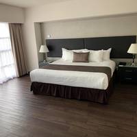 Deluxe One-Bedroom Apartment