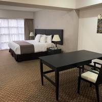Junior One-Bedroom Apartment