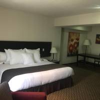 VIP Junior Suite
