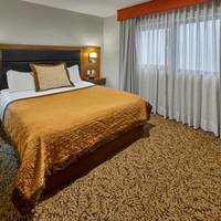 Queen Suite