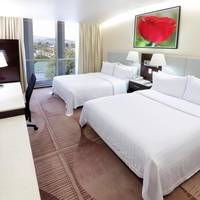 Double Room with Two Double Beds