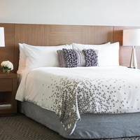 Executive One-Bedroom Suite