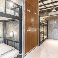 Bunk Bed in Mixed Dormitory Room