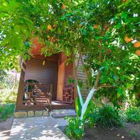Bungalow (2 Adults + 1 Child)