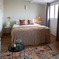 Deluxe Double Room with Terrace