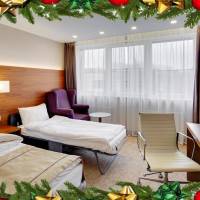 Large Double Room New Year package