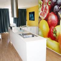 Duplex Apartment