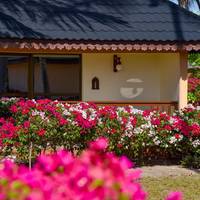 Standard Bungalow