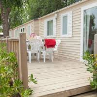 Mobile Home