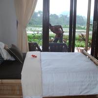 Standard Double with Garden View