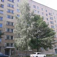 Апартаменты