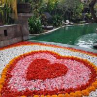 Deluxe Room with Plunge Pool
