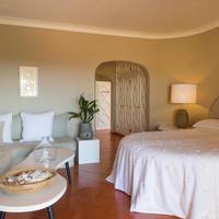 Deluxe Terrace Room