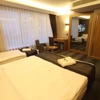 Budget Twin Room