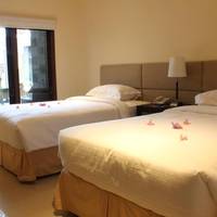 Superior Double or Twin Room with Pool View