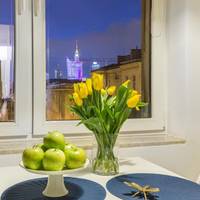 Superior Apartment with City View