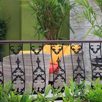 Honeymoon Package at Lagoon Villa
