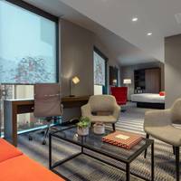 Urban Aloft Penthouse Suite
