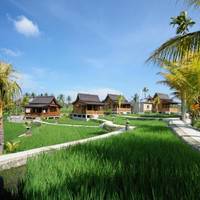 Suite with Rice Field View
