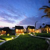One-Bedroom Villa with Private Pool and Rice Field View