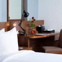 Grand Deluxe Twin Room with Park View 