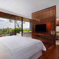 Vasanti Suite