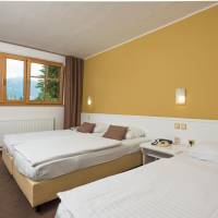 Basic Triple Room
