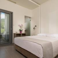Standard Double or Twin Room with Mountain View