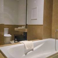 Deluxe Double or Twin Room with Balcony