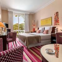 Exclusive Double Room With Pine Park View