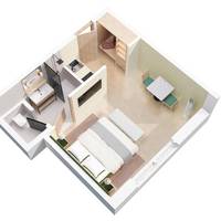 Deluxe Apartment 
