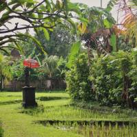 Superior Double or Twin Room with Garden View