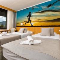 Superior Double Room with Mountain View