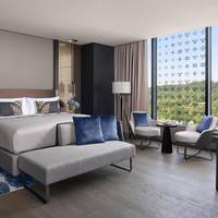 Club King Room