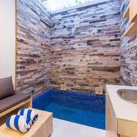 One Bedroom Plunge Pool Villa 